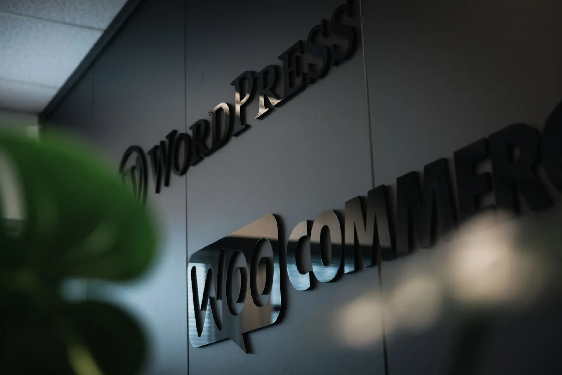 Woocommerce logo